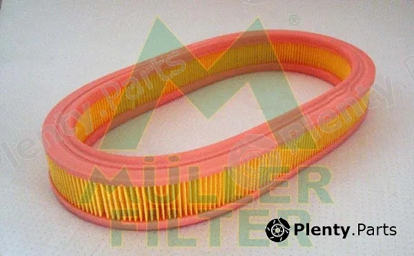 Muller Filter PA316 — Air Filter