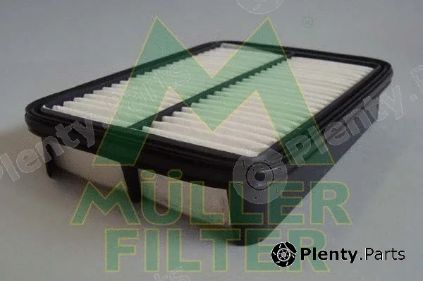 Muller Filter PA119 — Air Filter