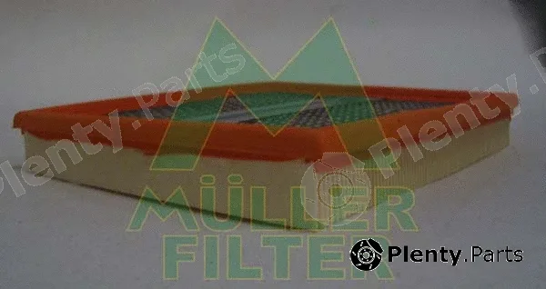 Muller Filter PA379 — Air Filter