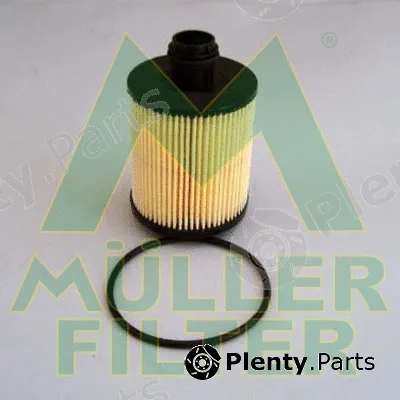 Muller Filter FOP241 — Oil Filter