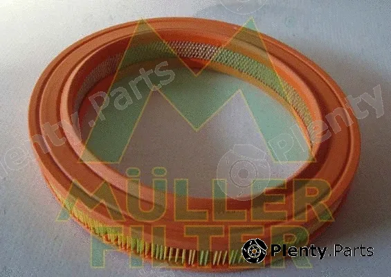 Muller Filter PA117 — Air Filter