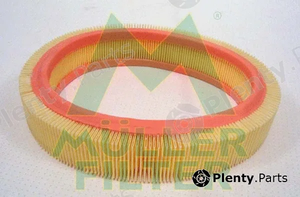 Muller Filter PA667 — Air Filter
