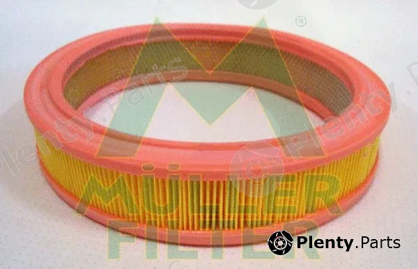 Muller Filter PA639 — Air Filter