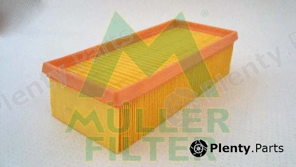 Muller Filter PA3118 — Air Filter