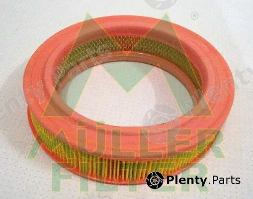 Muller Filter PA649 — Air Filter
