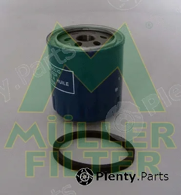 Muller Filter FO523 — Oil Filter