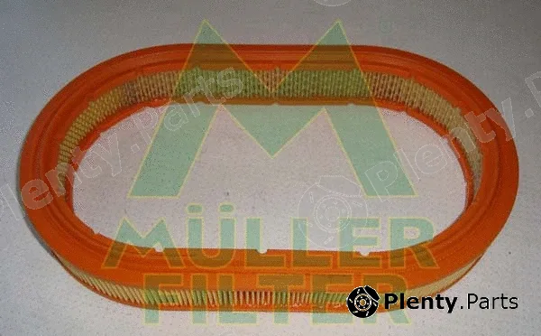 Muller Filter PA257 — Air Filter