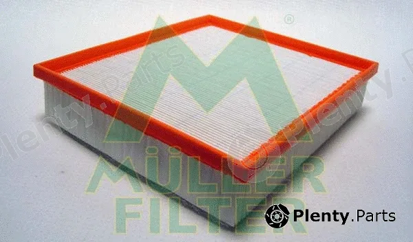Muller Filter PA3113 — Air Filter