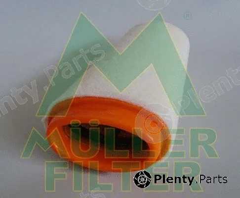 Muller Filter PA295 — Air Filter