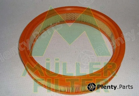 Muller Filter PA129 — Air Filter