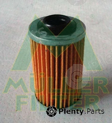 Muller Filter FOP374 — Oil Filter