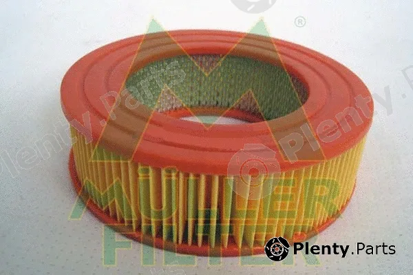 Muller Filter PA843 — Air Filter