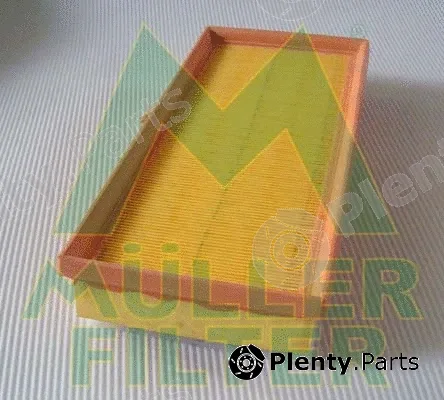 Muller Filter PA3462 — Air Filter