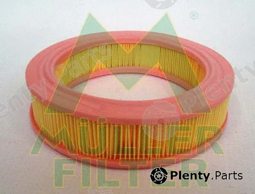 Muller Filter PA911 — Air Filter