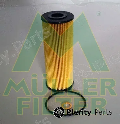 Muller Filter FOP828 — Oil Filter