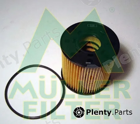 Muller Filter FOP225 — Oil Filter