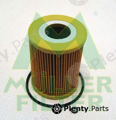 Muller Filter FOP308 — Oil Filter