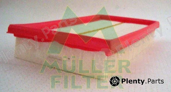 Muller Filter PA474 — Air Filter