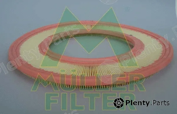 Muller Filter PA214 — Air Filter