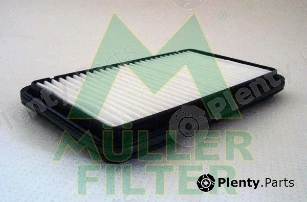 Muller Filter PA3134 — Air Filter