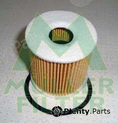 Muller Filter FOP232 — Oil Filter