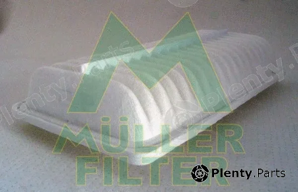 Muller Filter PA3159 — Air Filter