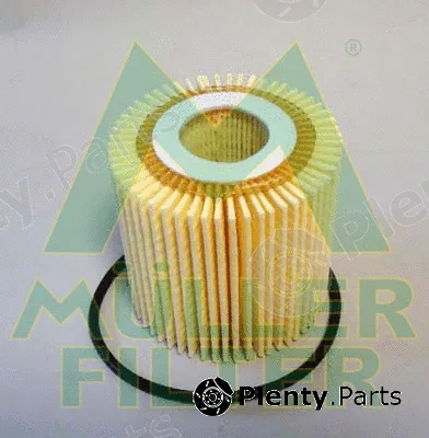 Muller Filter FOP381 — Oil Filter