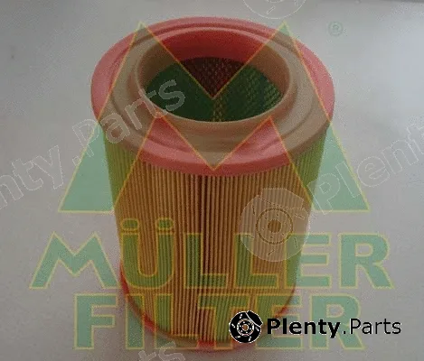 Muller Filter PA259 — Air Filter