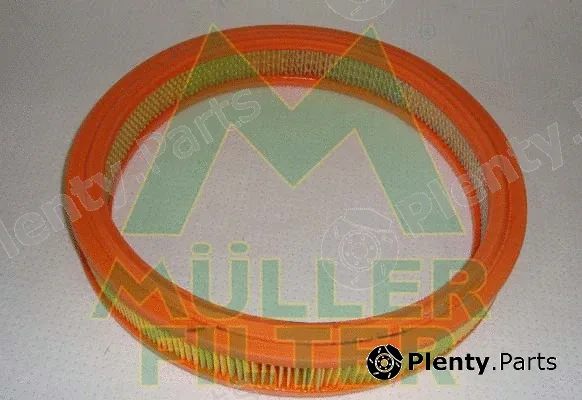 Muller Filter PA242 — Air Filter