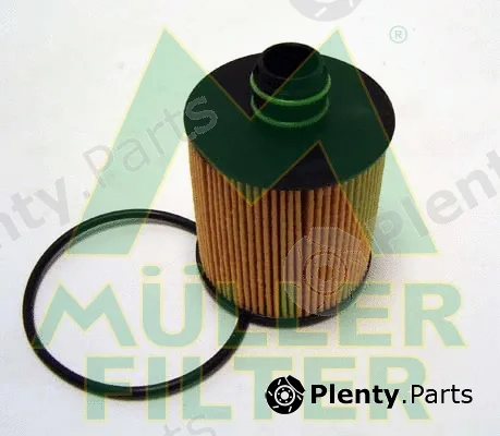 Muller Filter FOP243 — Oil Filter
