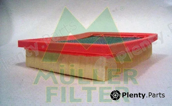 Muller Filter PA381 — Air Filter