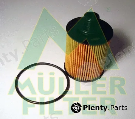Muller Filter FOP240 — Oil Filter