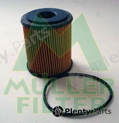 Muller Filter FOP236 — Oil Filter