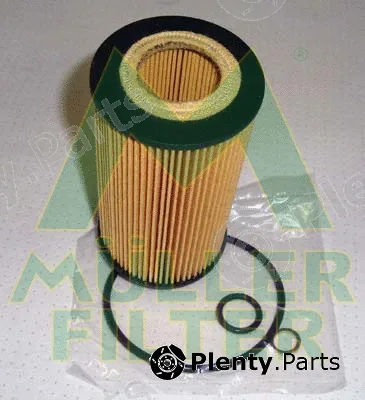Muller Filter FOP245 — Oil Filter