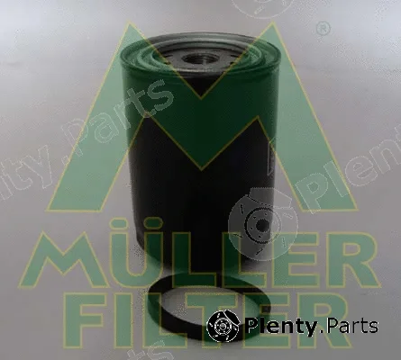 Muller Filter FO294 — Oil Filter