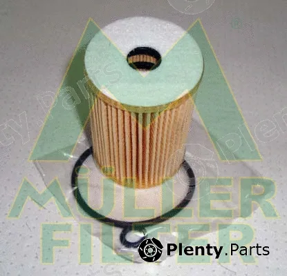 Muller Filter FOP206 — Oil Filter