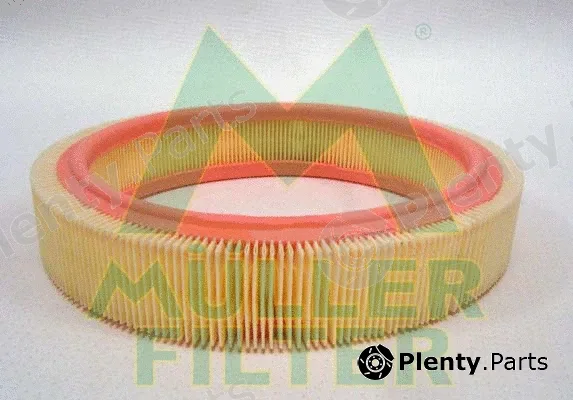 Muller Filter PA636 — Air Filter