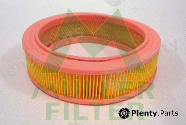 Muller Filter PA618 — Air Filter