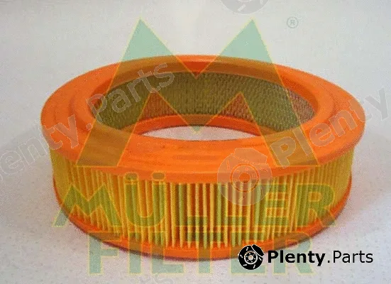 Muller Filter PA442 — Air Filter