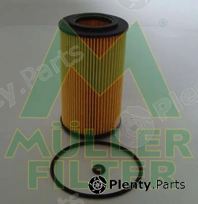 Muller Filter FOP373 — Oil Filter