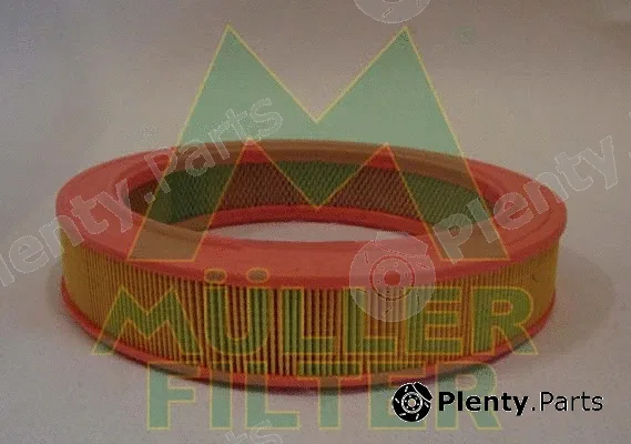 Muller Filter PA336 — Air Filter