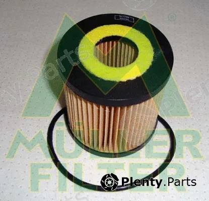 Muller Filter FOP234 — Oil Filter