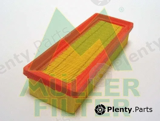 Muller Filter PA369 — Air Filter