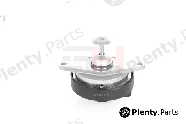 GH GH-733665 — EGR Valve