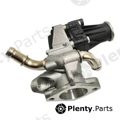 Gauss GI2015 — EGR Valve
