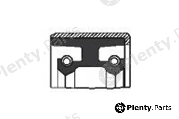 SKT 040541 — Shaft Seal, power steering pump