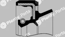 SKT 046160-P — Shaft Seal, differential