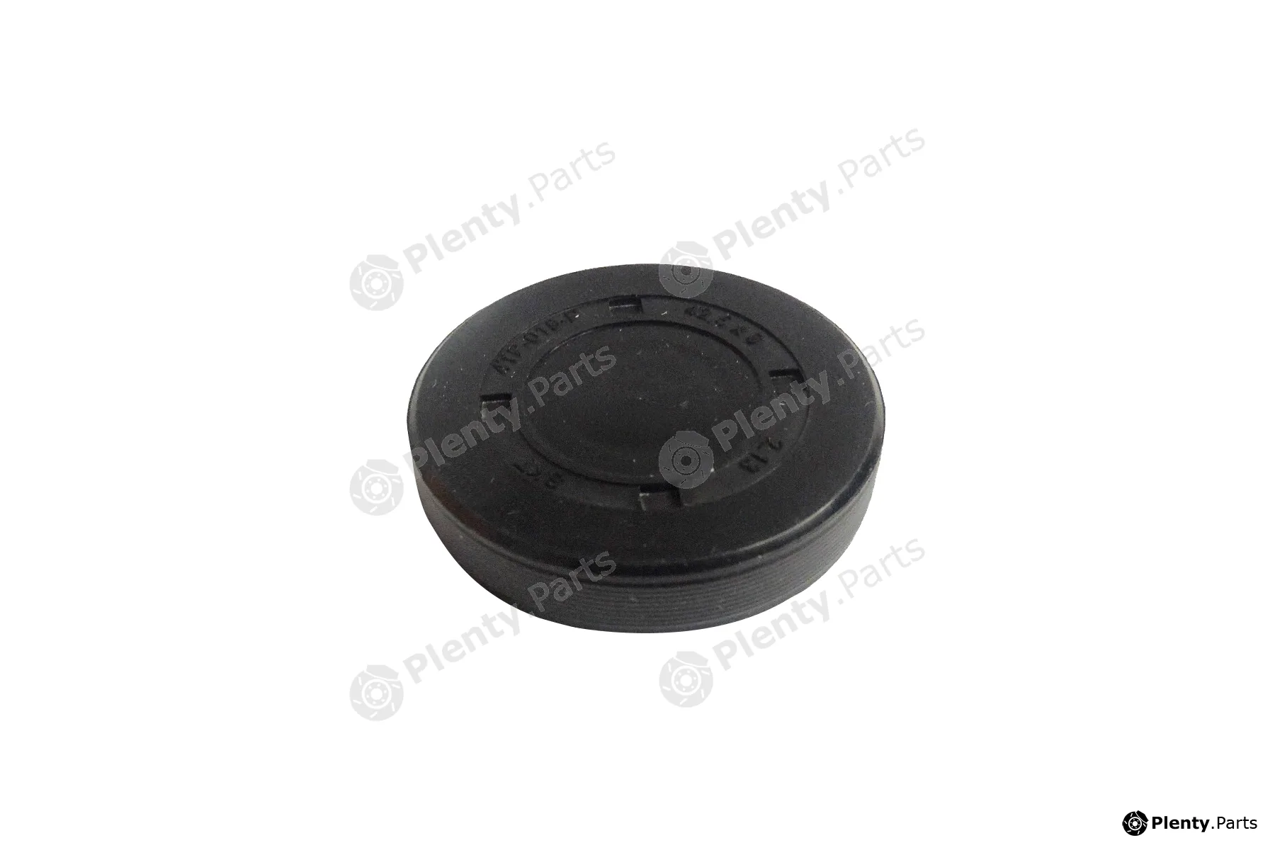 SKT 4TP-019-P — Plug, rocker arm shaft mounting bore