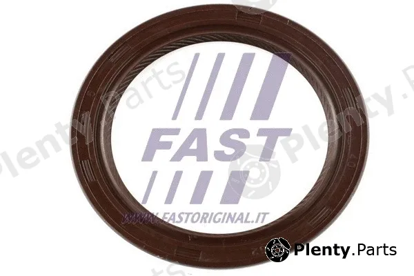 Fast FT49813 — Shaft Seal, differential