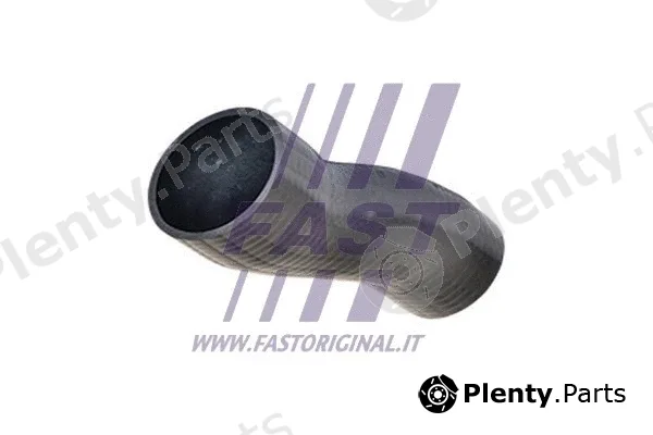 Fast FT61031 — Charge Air Hose